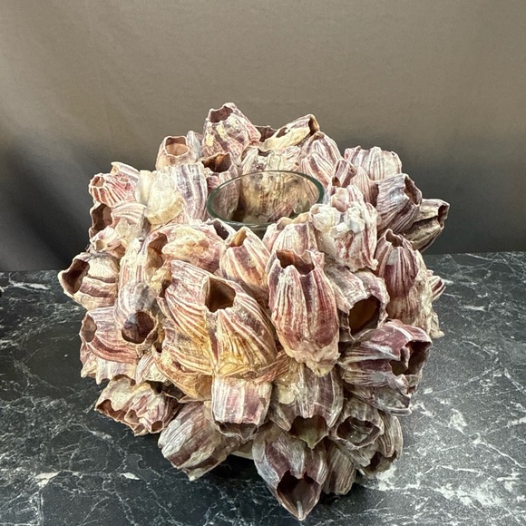 Decorative Barnacle Clusters - Purple and Cream sconces candle holders - Picture 9 of 15